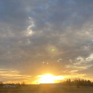 Meet your Posher, Lea